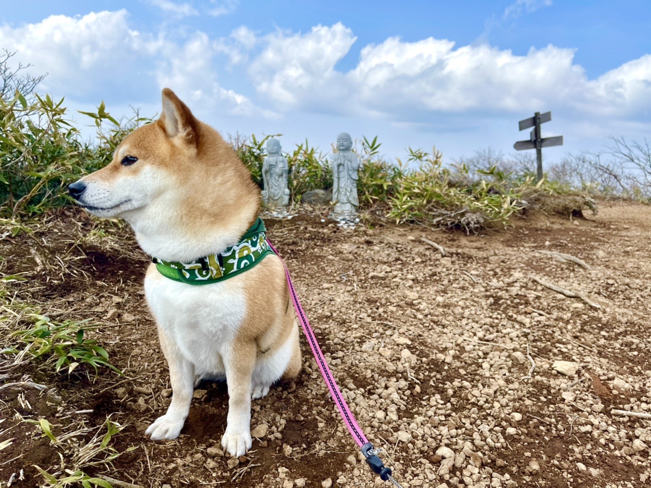 面白山 犬ップ編 ないんちょさんの面白山 神室岳の活動データ Yamap ヤマップ