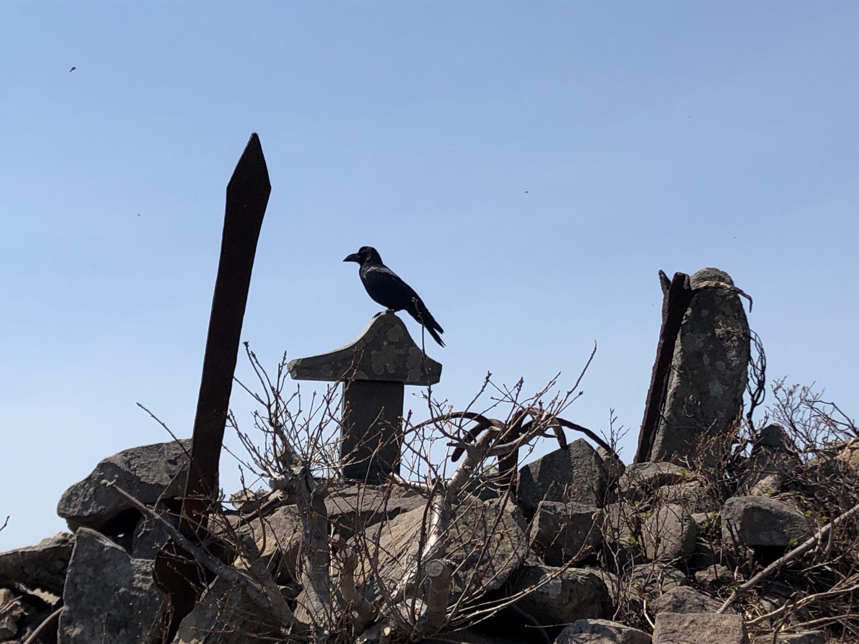 小樽天狗山 於古発山 遠藤山 塩谷丸山 ぴのさんの塩谷丸山 於古発山の活動データ Yamap ヤマップ
