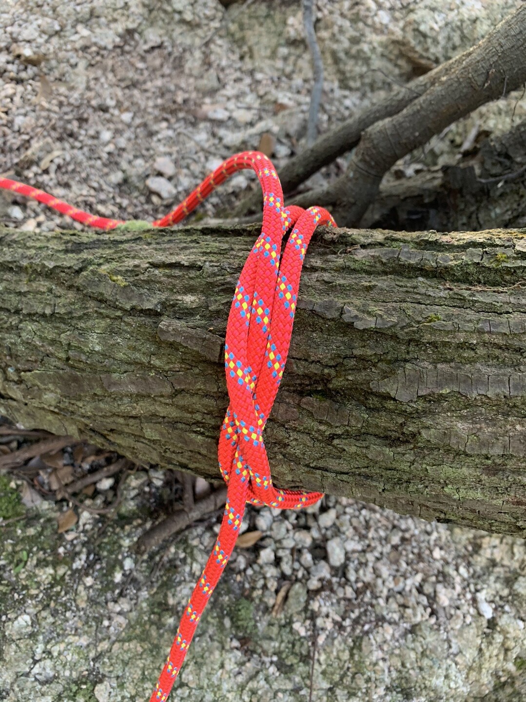 はじめてのロープワークを須磨アルプス直下でコソ練 フックジョーさんの六甲山 長峰山 摩耶山の活動日記 Yamap ヤマップ