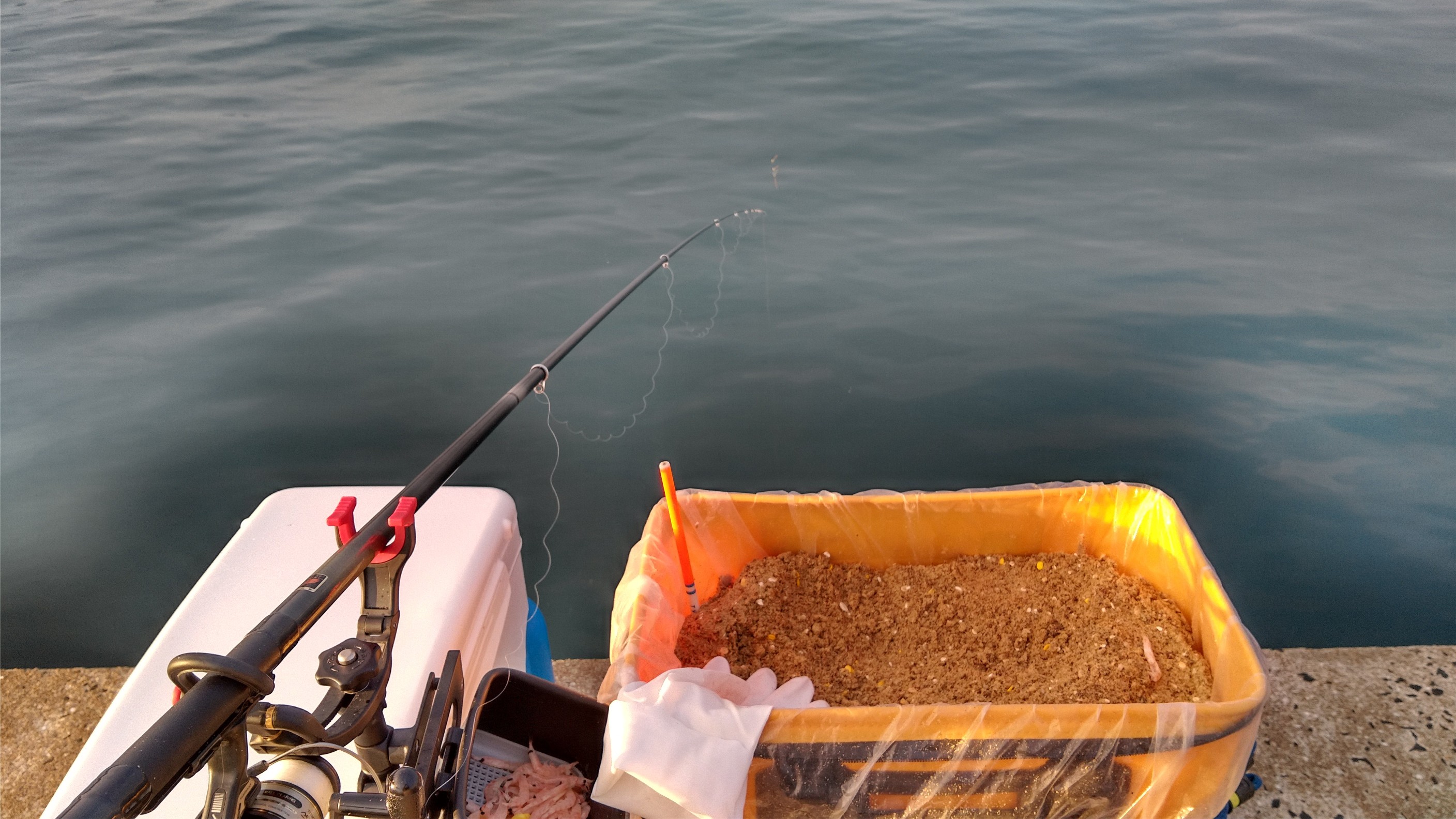 今日は 松浦で紀州釣り 朝から夕方まで ありばばさんのモーメント Yamap ヤマップ