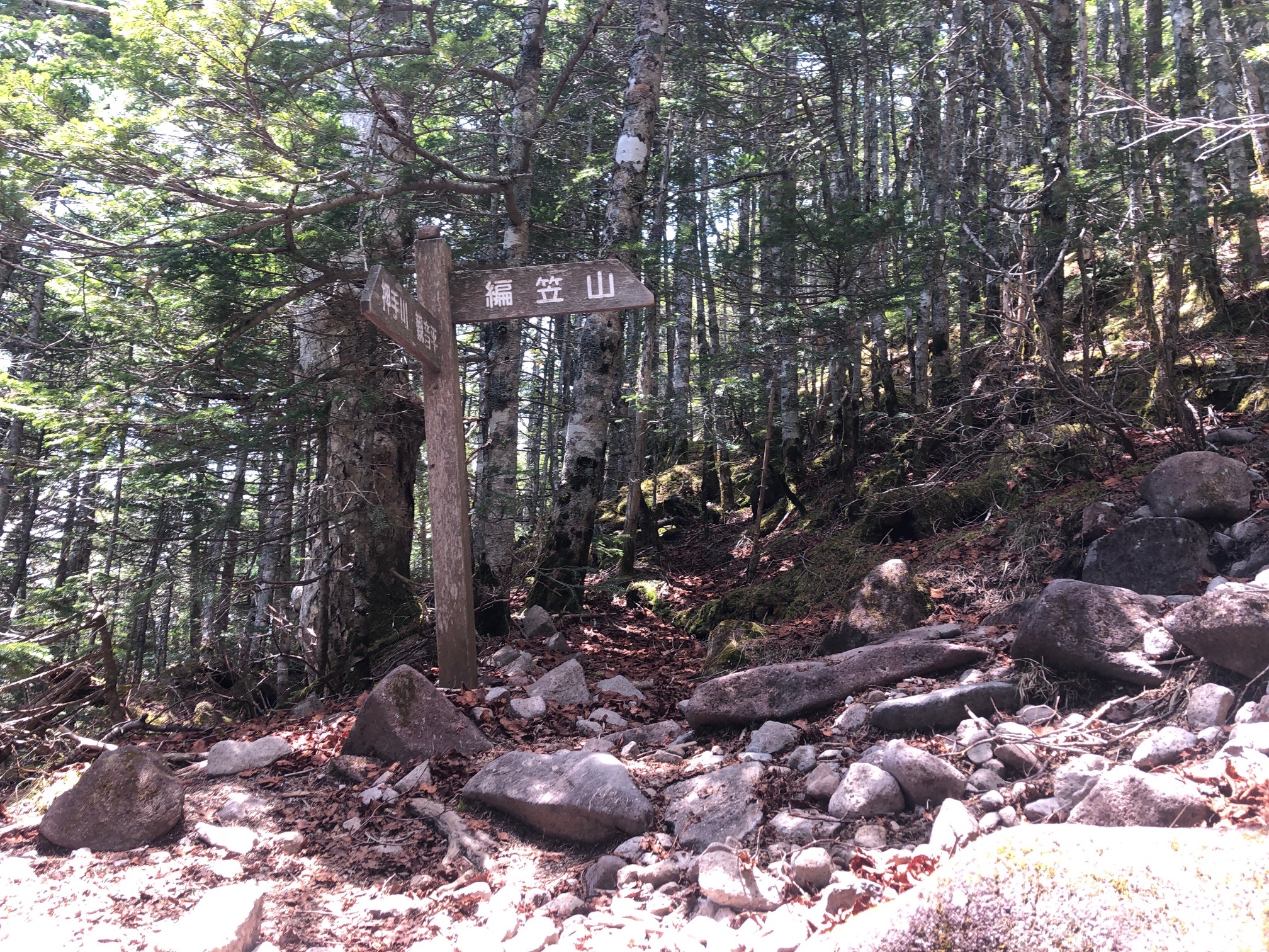 登山道、完全に岩しかない、道