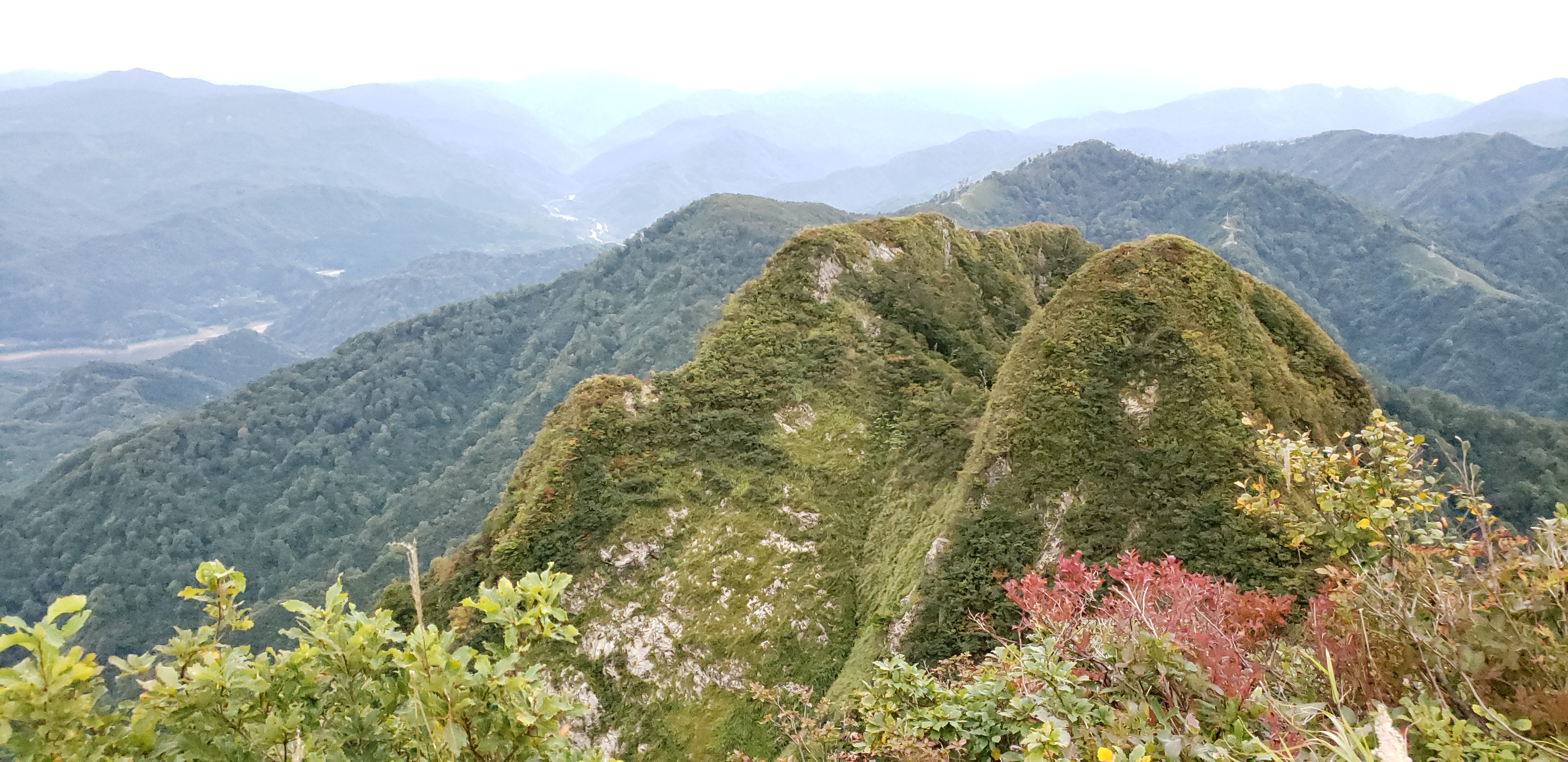 摩耶山 山形県鶴岡市 19 09 28 Mahanaさんの摩耶山 山形県鶴岡市 の活動データ Yamap ヤマップ