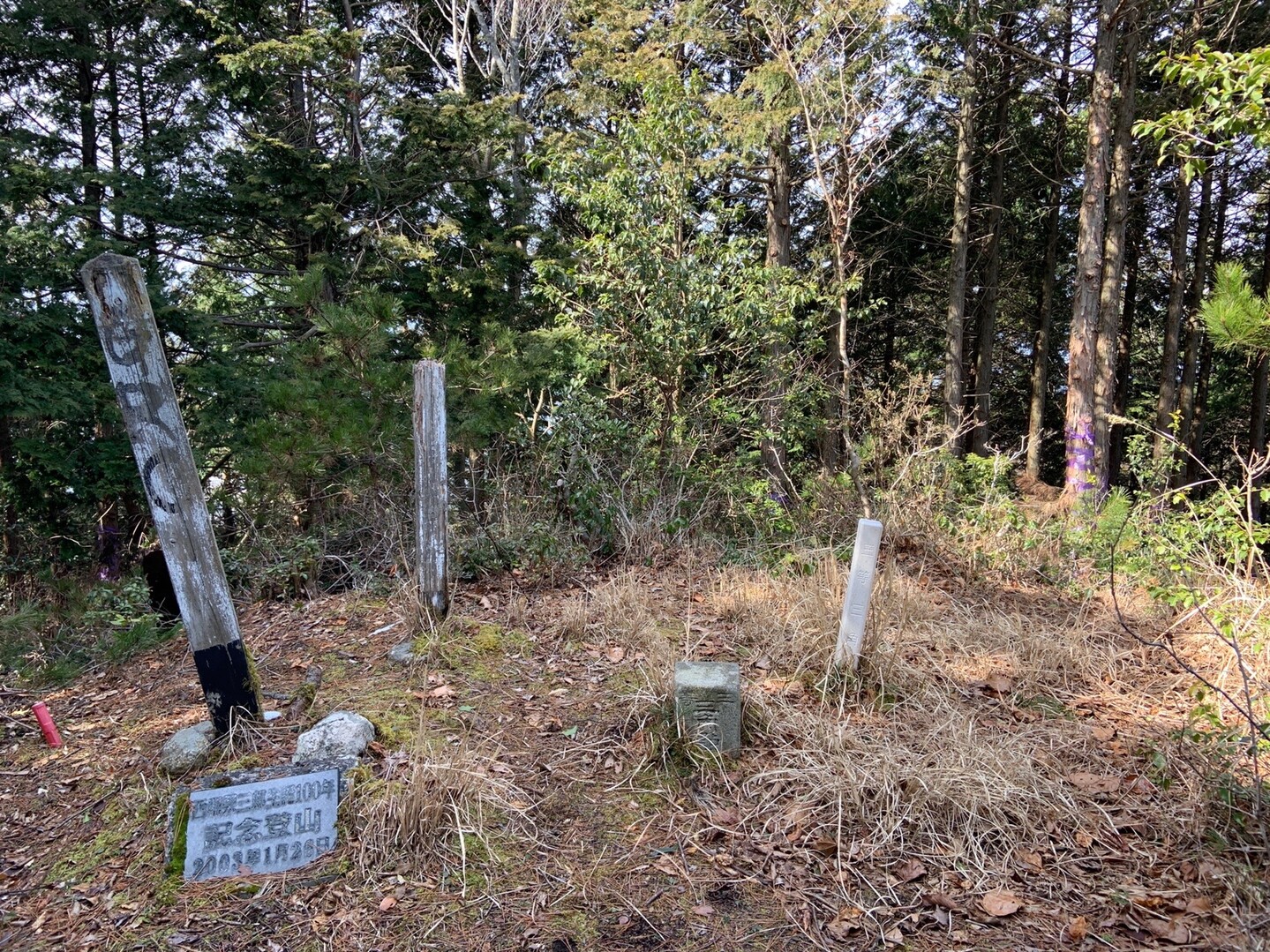 東近江市の押立山 / takeさんの日本コバの活動データ YAMAP / ヤマップ