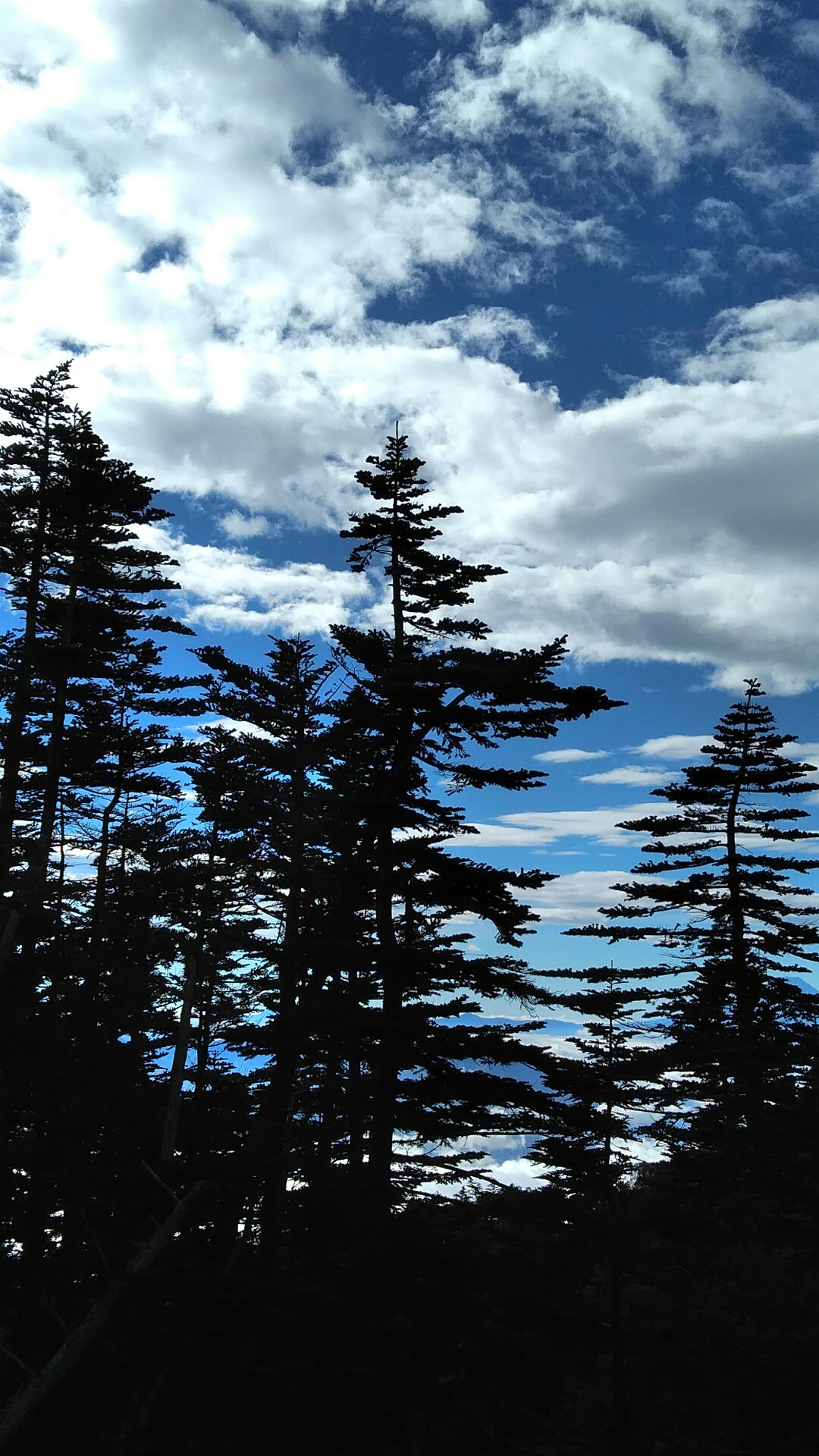 南八つテン泊縦走2 権現 赤岳 横岳 硫黄 てっつーさんの八ヶ岳 赤岳 硫黄岳 天狗岳 の活動日記 Yamap ヤマップ