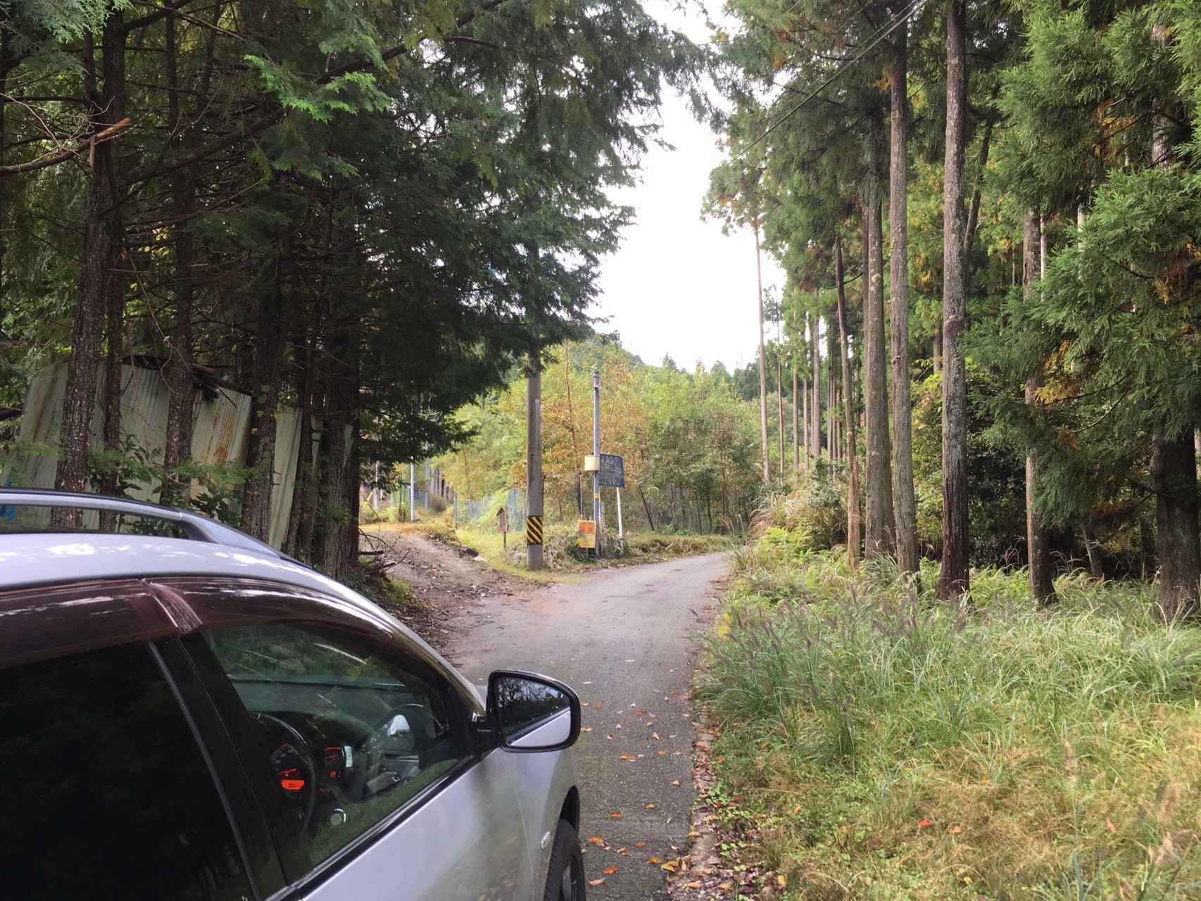 香肌イレブン 3 白猪山 チキートさんの白猪山の活動日記 Yamap ヤマップ