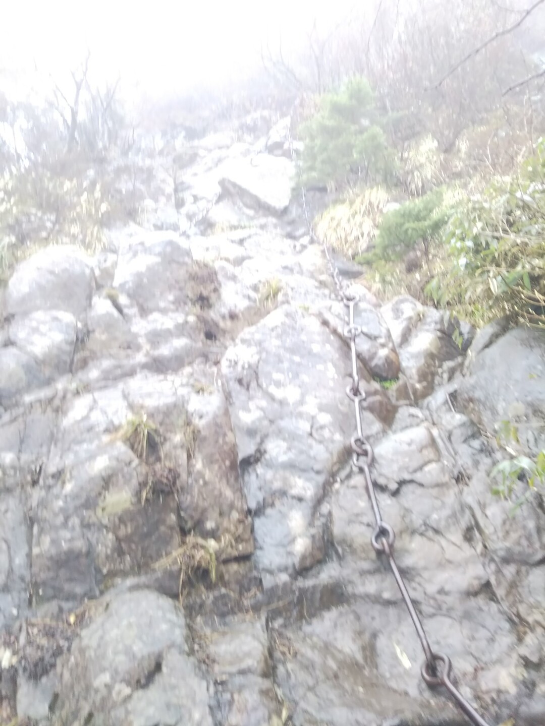 暴風雨の石鎚山-2019-05-19 / ひろさんの石鎚山・堂ヶ森・二ノ森の活動データ | YAMAP / ヤマップ