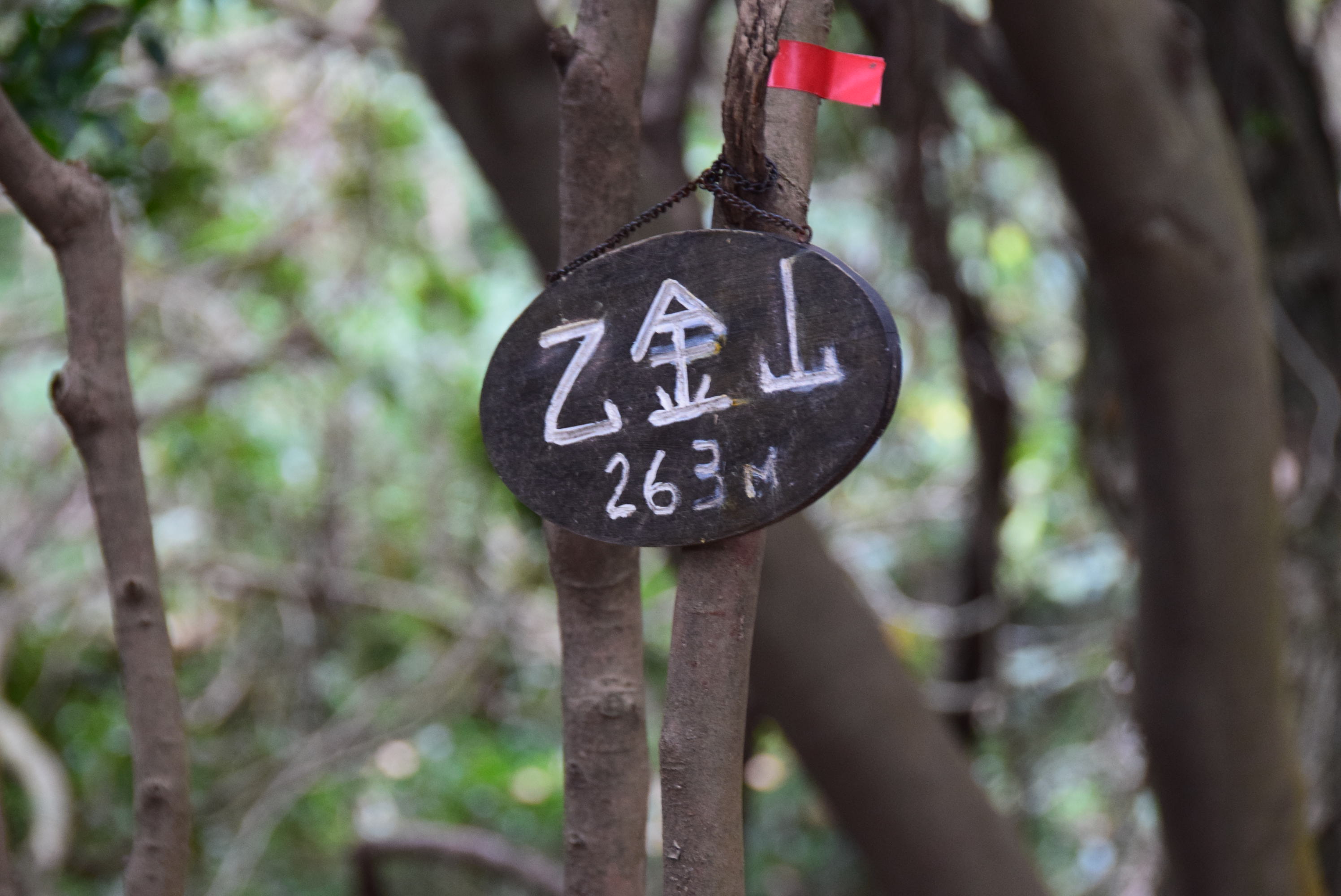 地図読みで乙金山をピークハント ヒロシさんの井野山の活動データ Yamap ヤマップ