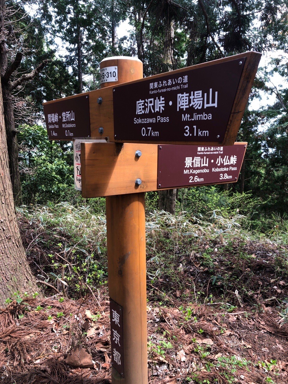 陣馬山 高尾山縦走 Sota初得点 高尾山 陣馬山 景信山の写真21枚目 この標識まで戻る Yamap ヤマップ