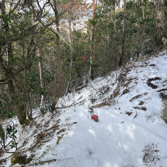 御伊勢山・雨乞山・相原山 慎重に樹々やロープを掴んで降ります。