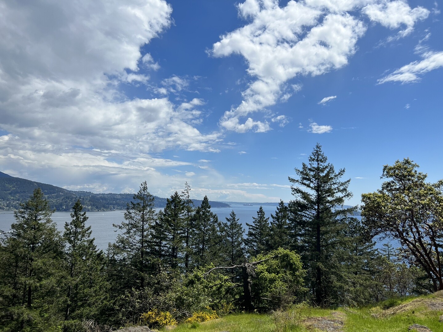 Bowen Island Dorman Pt Trail 20220522 / ZANN?????????????????????????????????????????????????????????