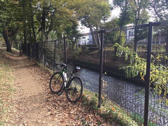 ポケモンgoの タマタマ を探しに ロードバイクで小金井公園へ Kpk Cooさんのランニングの活動データ Yamap ヤマップ