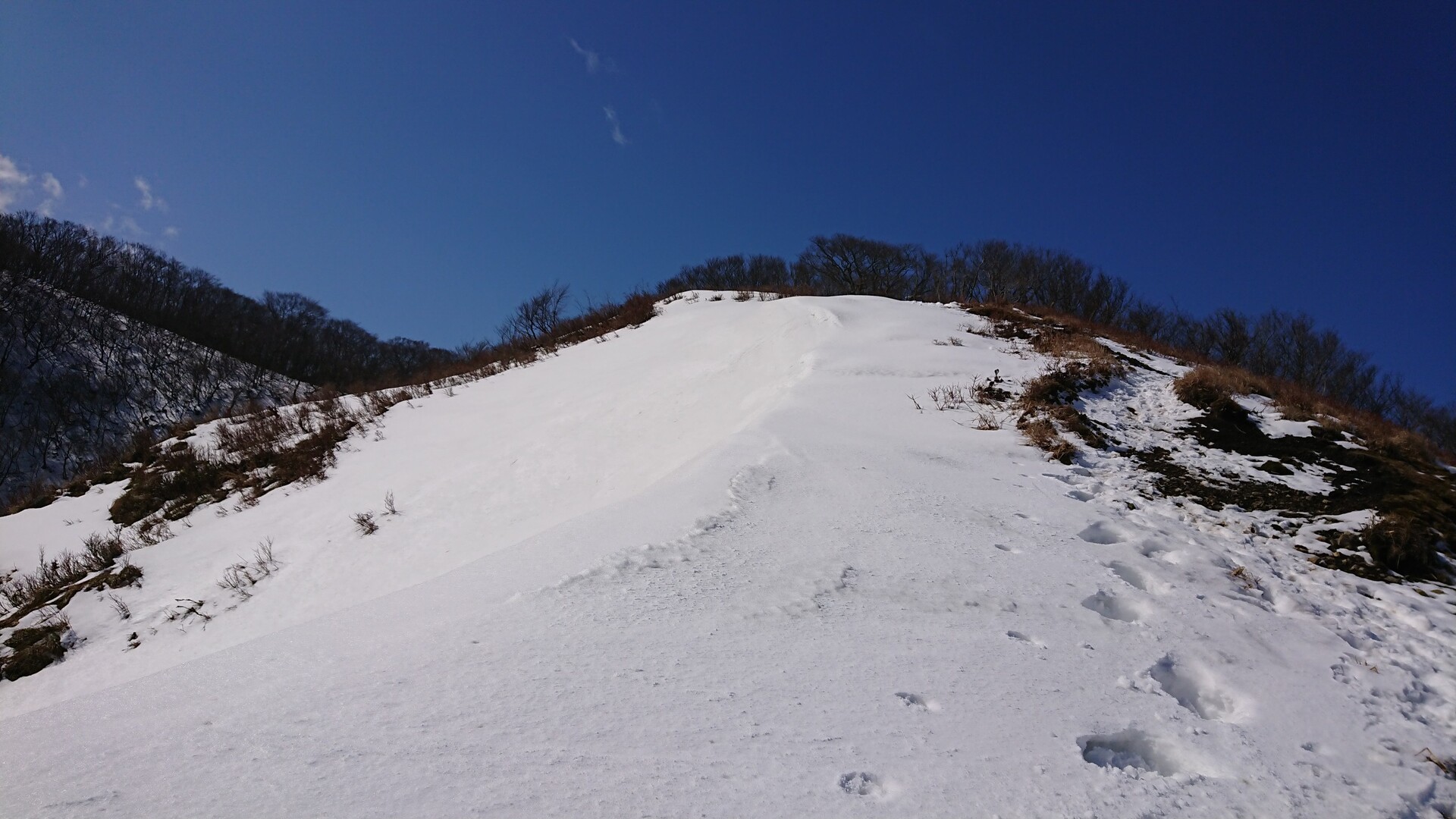 雪山縦走🎵赤坂山～大谷山