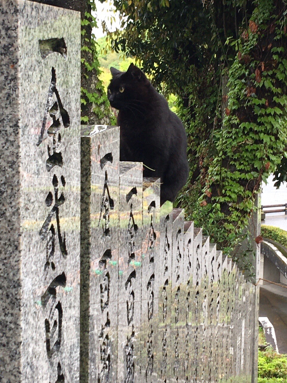 王子神社 猫神さんのネコちゃんです ニコさんのモーメント Yamap ヤマップ