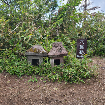 キバナノアツモリソウ(黄花の敦盛草)自生地へ / KIKOさんの高妻山