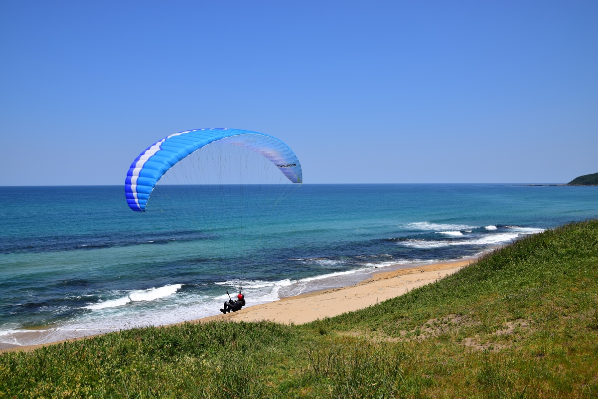 行っちゃいました。