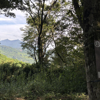 小町山山頂から筑波山