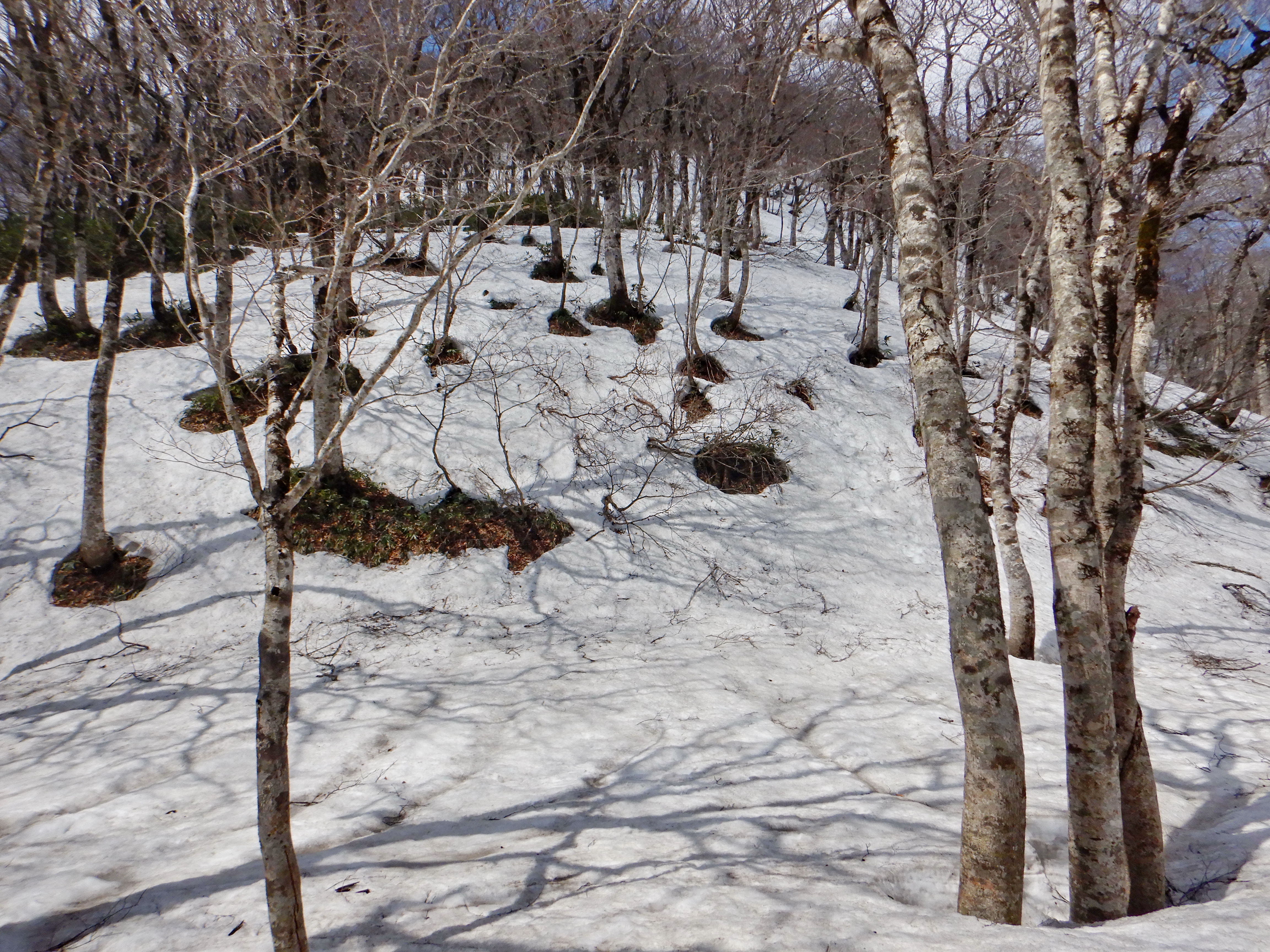 大東岳 雪庇を背負って山頂へ たかさんの面白山 神室岳 大東岳 雨呼山の活動日記 Yamap ヤマップ