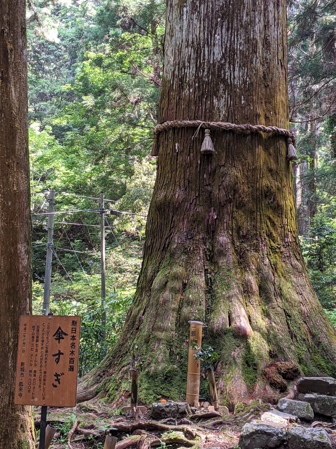 一ヶ月半ぶりの鳳来寺山 アザさんの鞍掛山 愛知県 鳳来寺山 岩古谷山の活動日記 Yamap ヤマップ