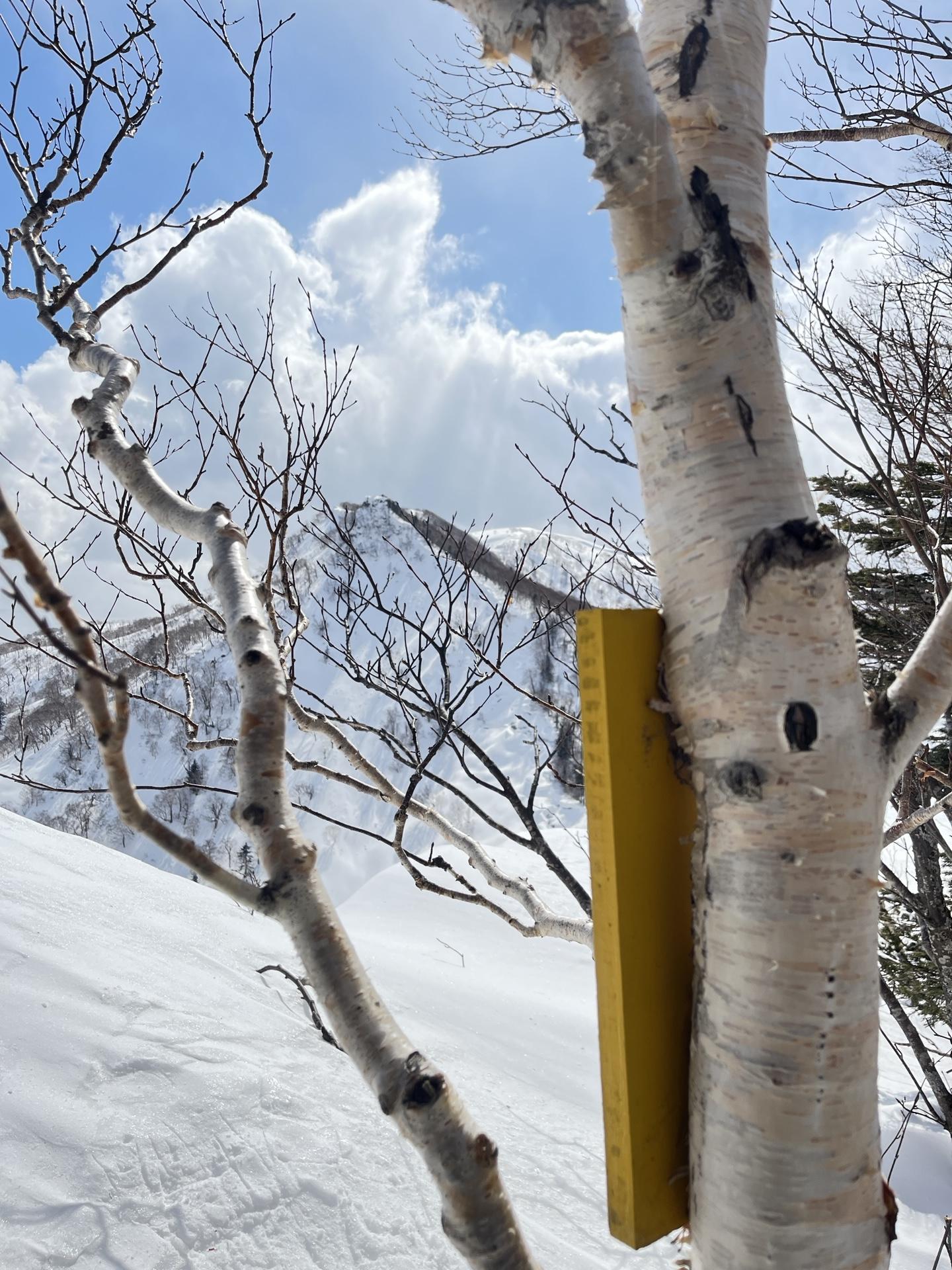 タケノコ山（北海道） | YAMAP / ヤマップ