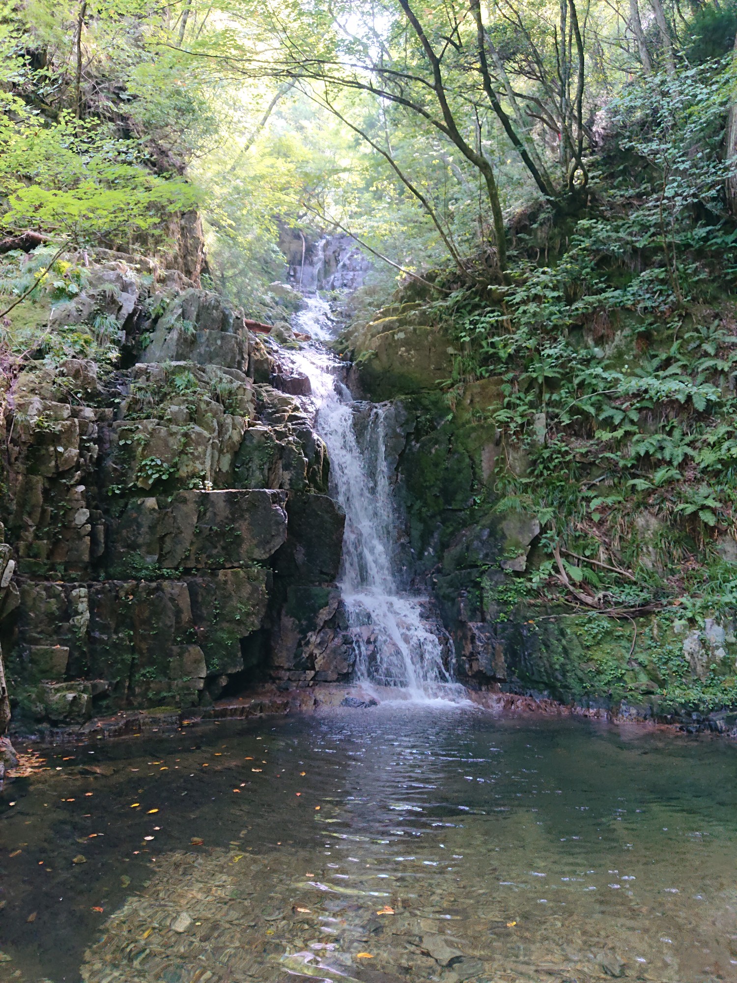 安芸太田町 那須 浦折 うらおれ 谷の三ツ滝 隠れ四段滝 Nissie Babyさんの安芸太田町 三段峡の活動データ Yamap ヤマップ