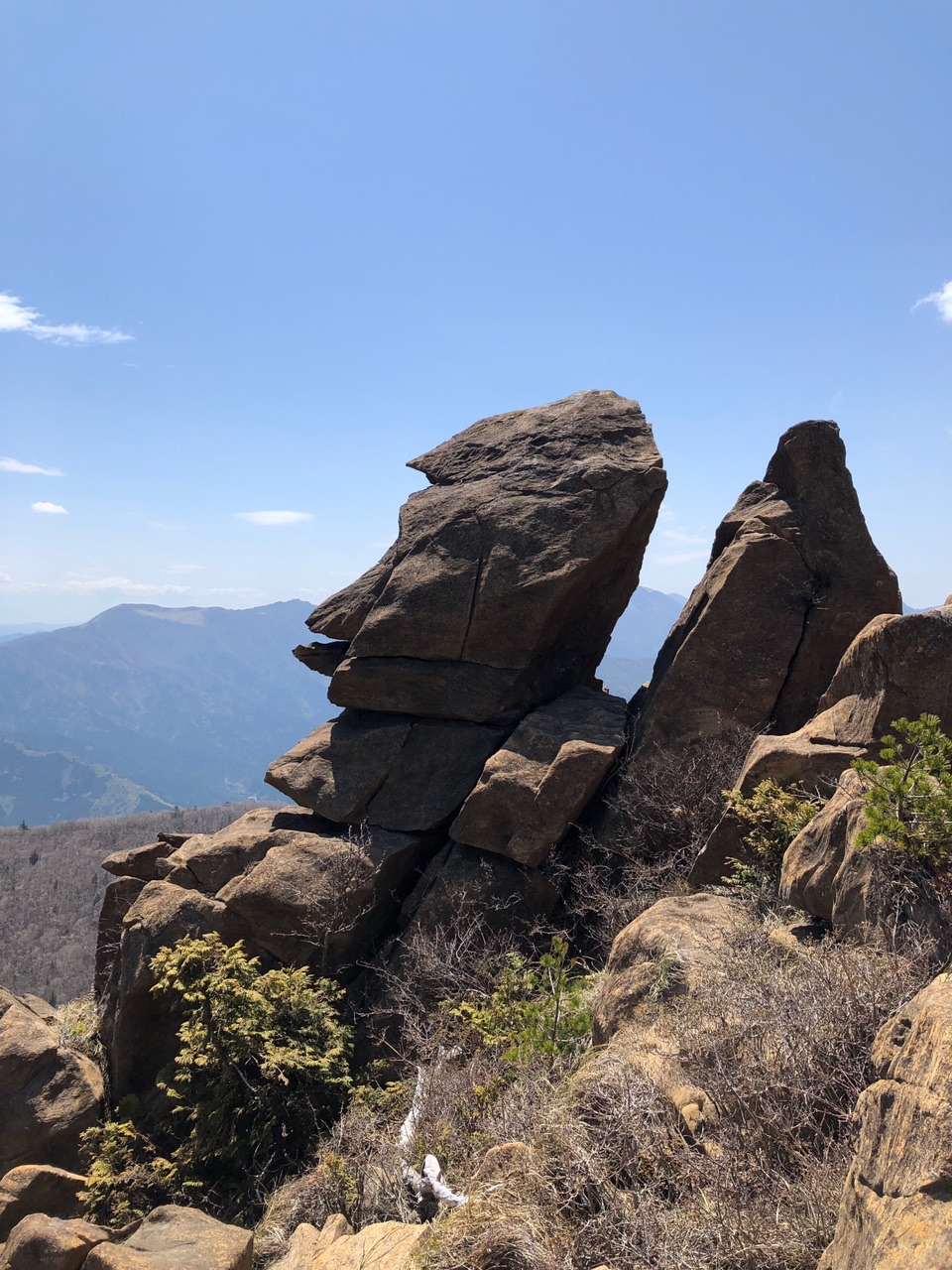 東赤石のモアイ像岩に出会った八巻山 東赤石山 ろんママさんの東赤石山 西赤石山 物住頭の活動データ Yamap ヤマップ