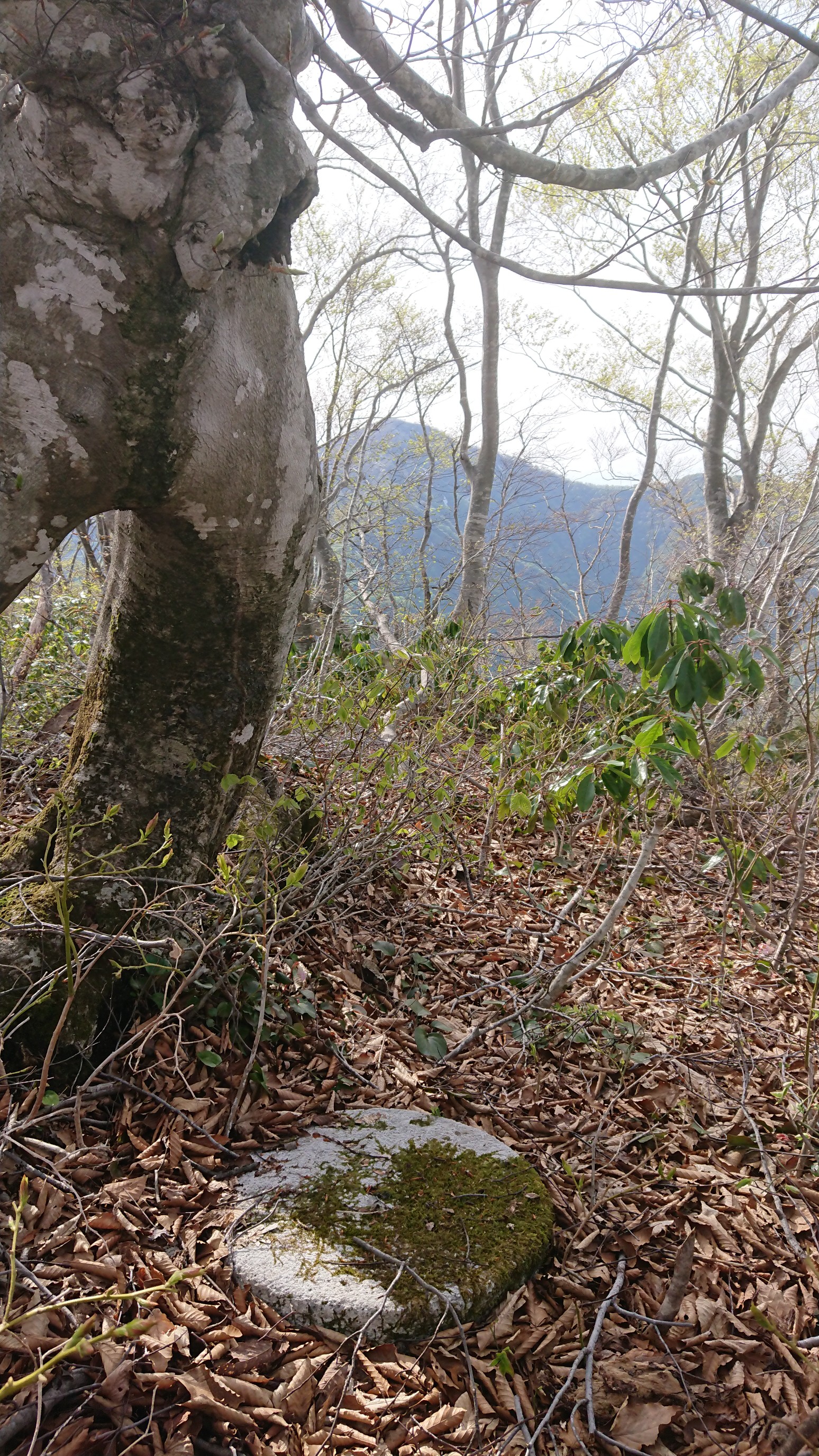 木六山・銀次郎山 山頂見っけ