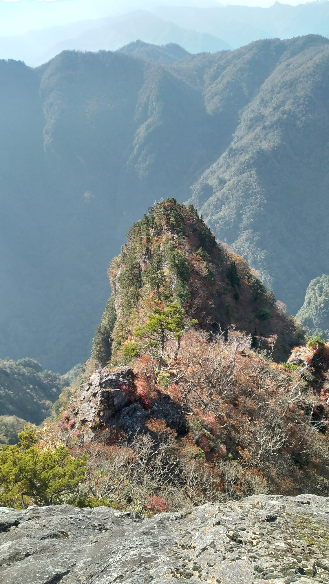 大台ヶ原山の紅葉 日出ヶ岳の夕景 19 10 30 Ootakahiko さんの大台ヶ原山 日出ヶ岳 大杉谷の活動日記 Yamap ヤマップ