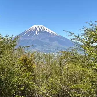 富士山ビューポイント