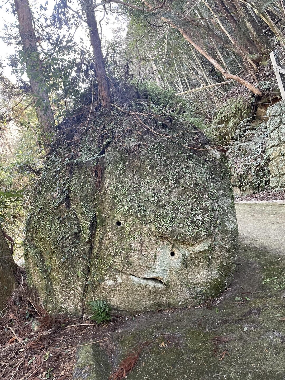 天下峯・梟ヶ城址展望台