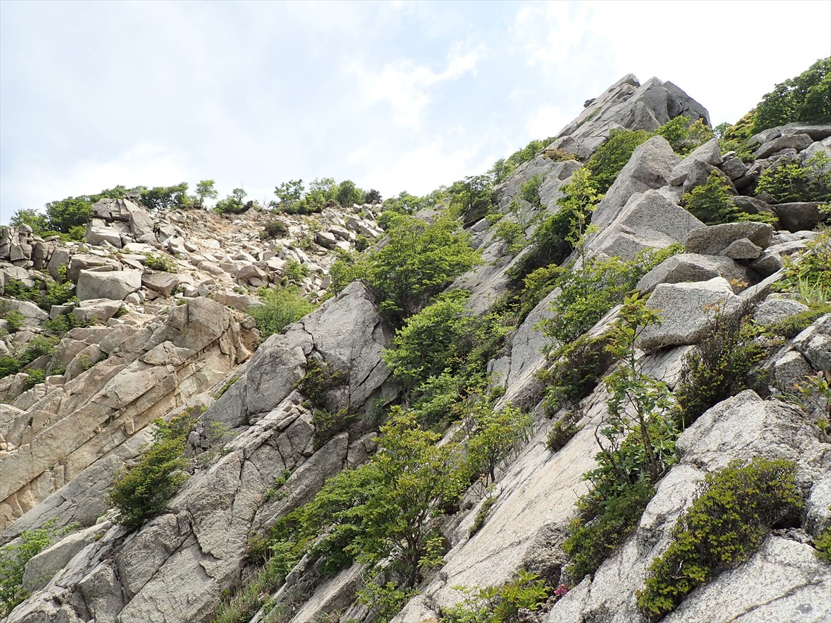 鈴鹿のマッターホルン 鎌ヶ岳へ 鎌ヶ岳南西壁 西鎌尾根 かめクライマーさんの御在所岳 御在所山 雨乞岳の活動データ Yamap ヤマップ