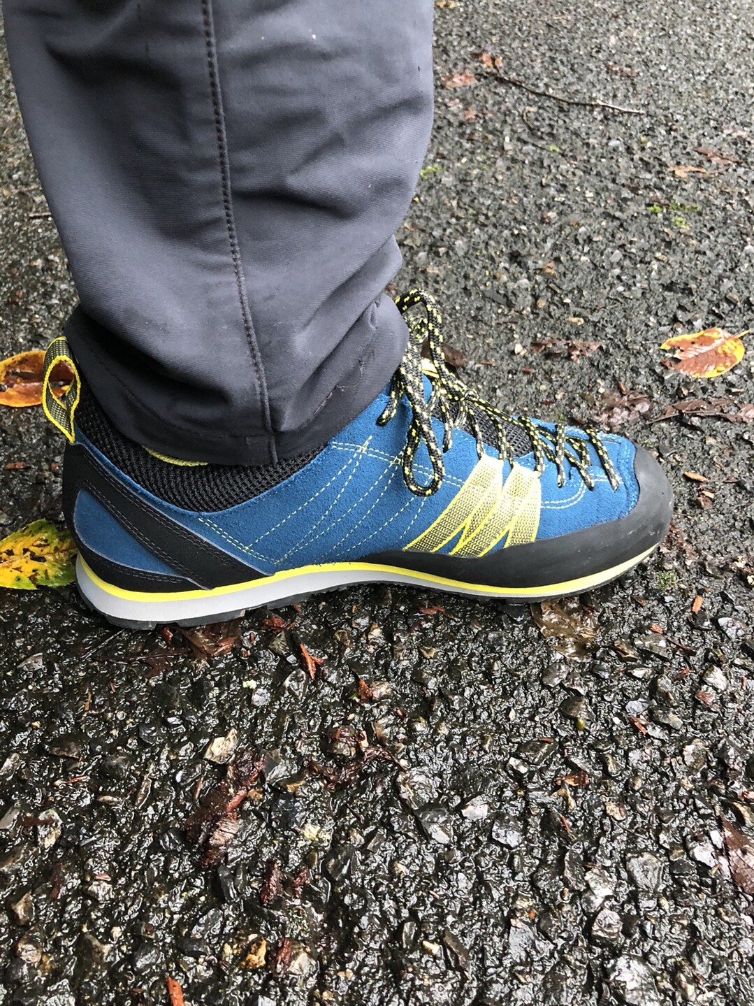 マスク類着用率９ 猿投山 07 18 とかげの仲間さんの猿投山 物見山の活動日記 Yamap ヤマップ