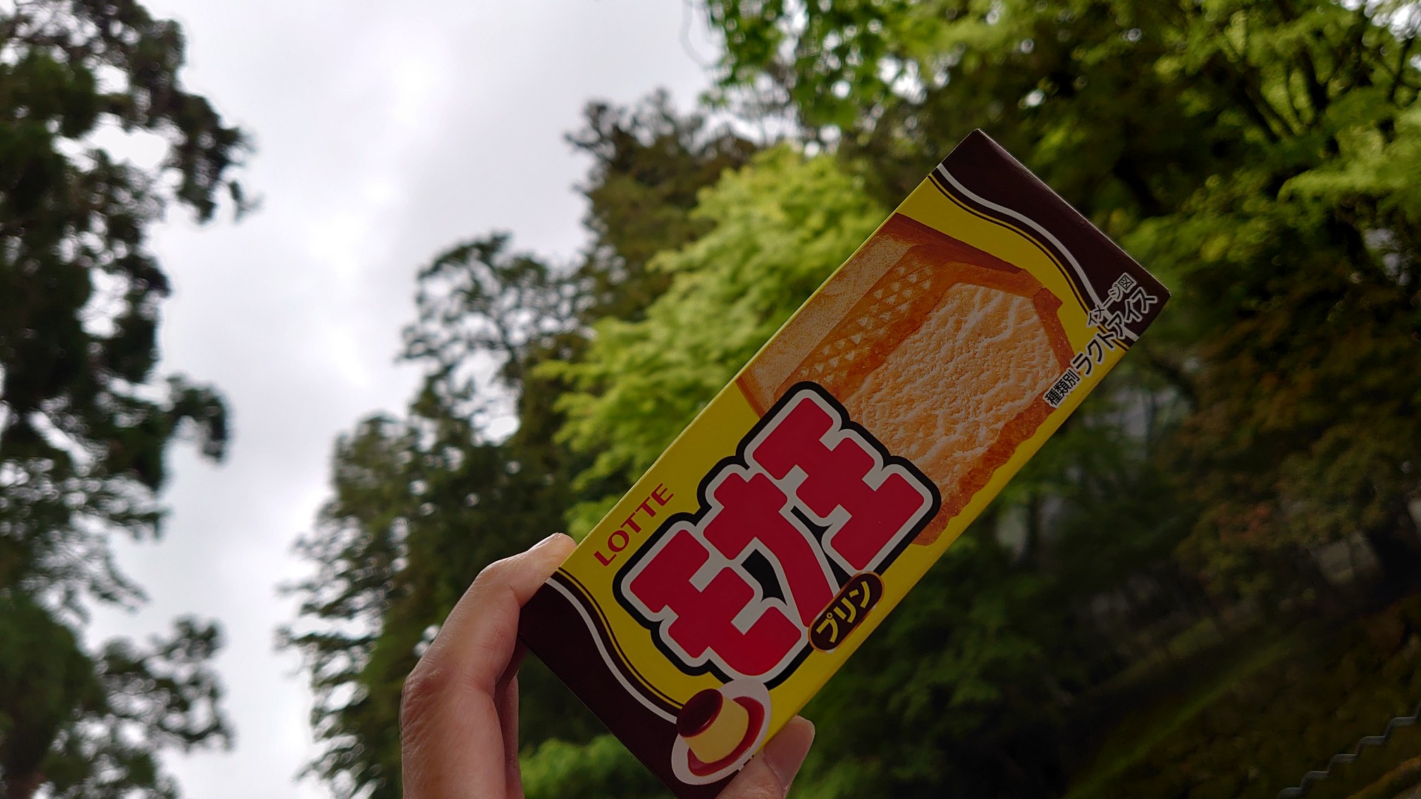 比叡山 つつじヶ丘満開 はなちゃん0518さんの比叡山 横高山 大尾山の活動データ Yamap ヤマップ