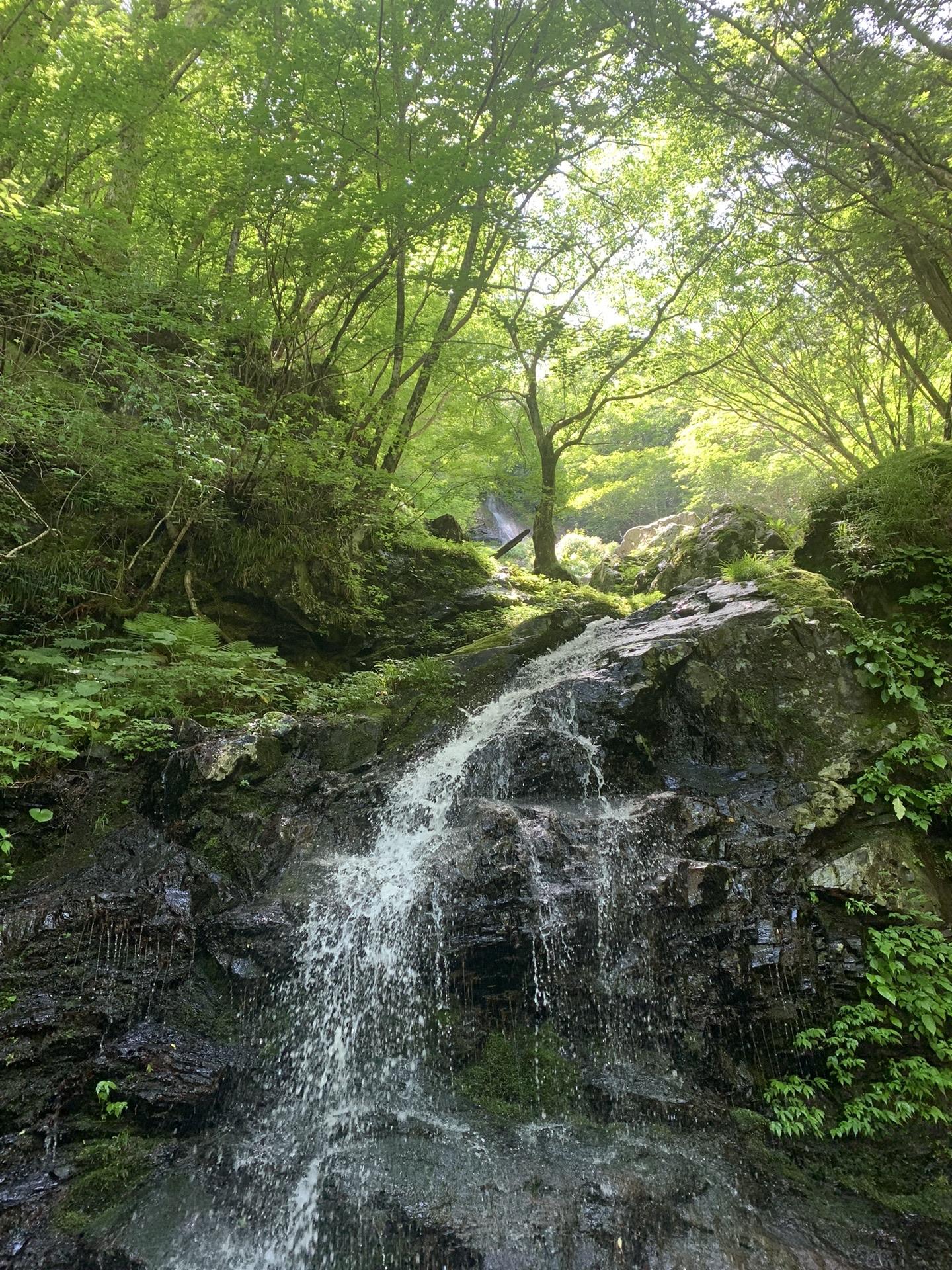 コウセ滝。左から簡単に登れそうに見えたがズルズルでやはり巻き