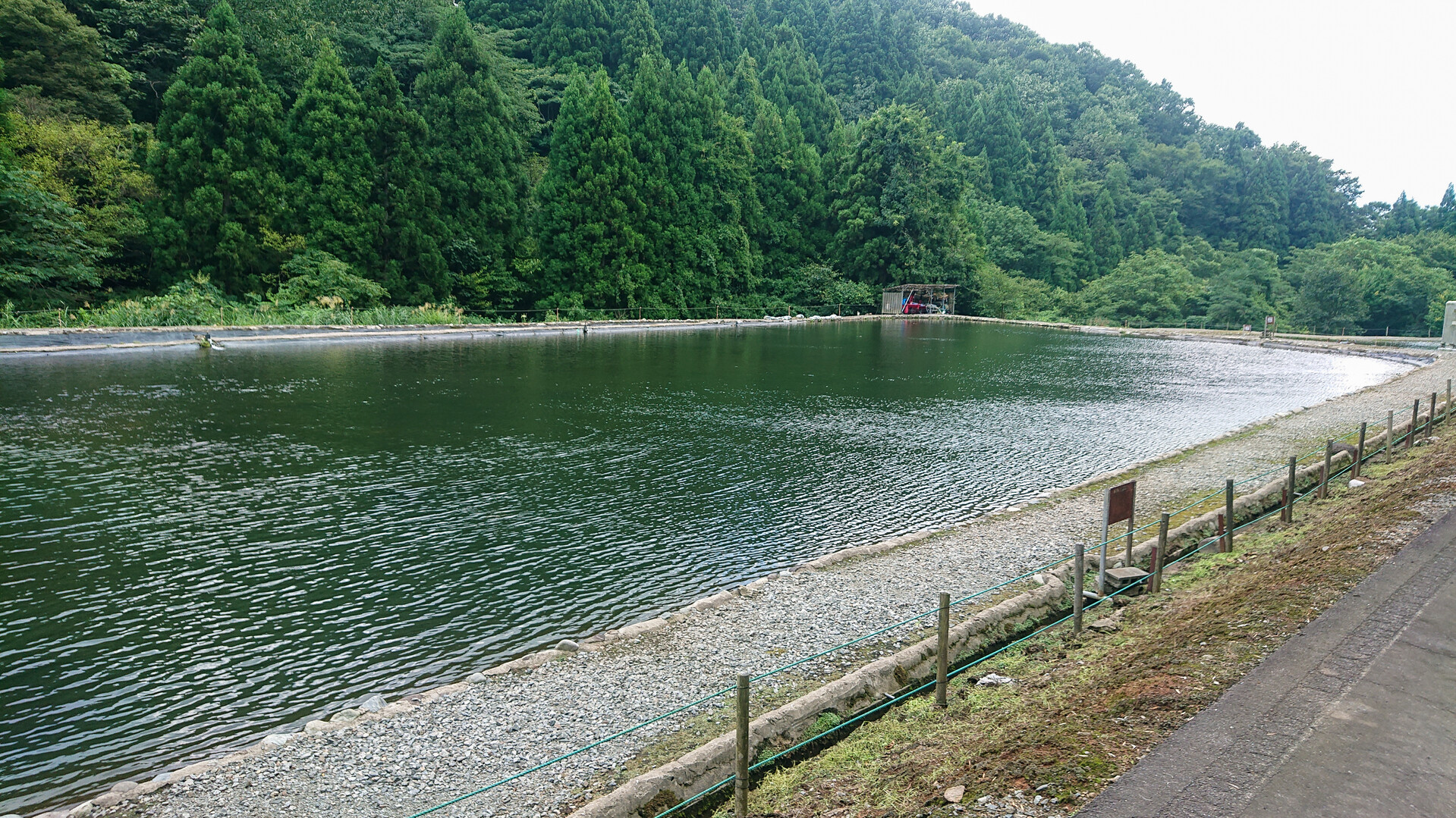 米山とパスタイム Jontaさんの米山 柏崎市 新潟県 の活動日記 Yamap ヤマップ