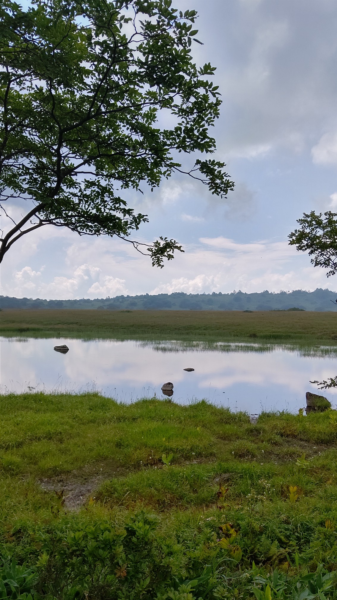 と の車山高原 八島湿原 スモールさんの霧ヶ峰 車山 大笹峰の活動データ Yamap ヤマップ
