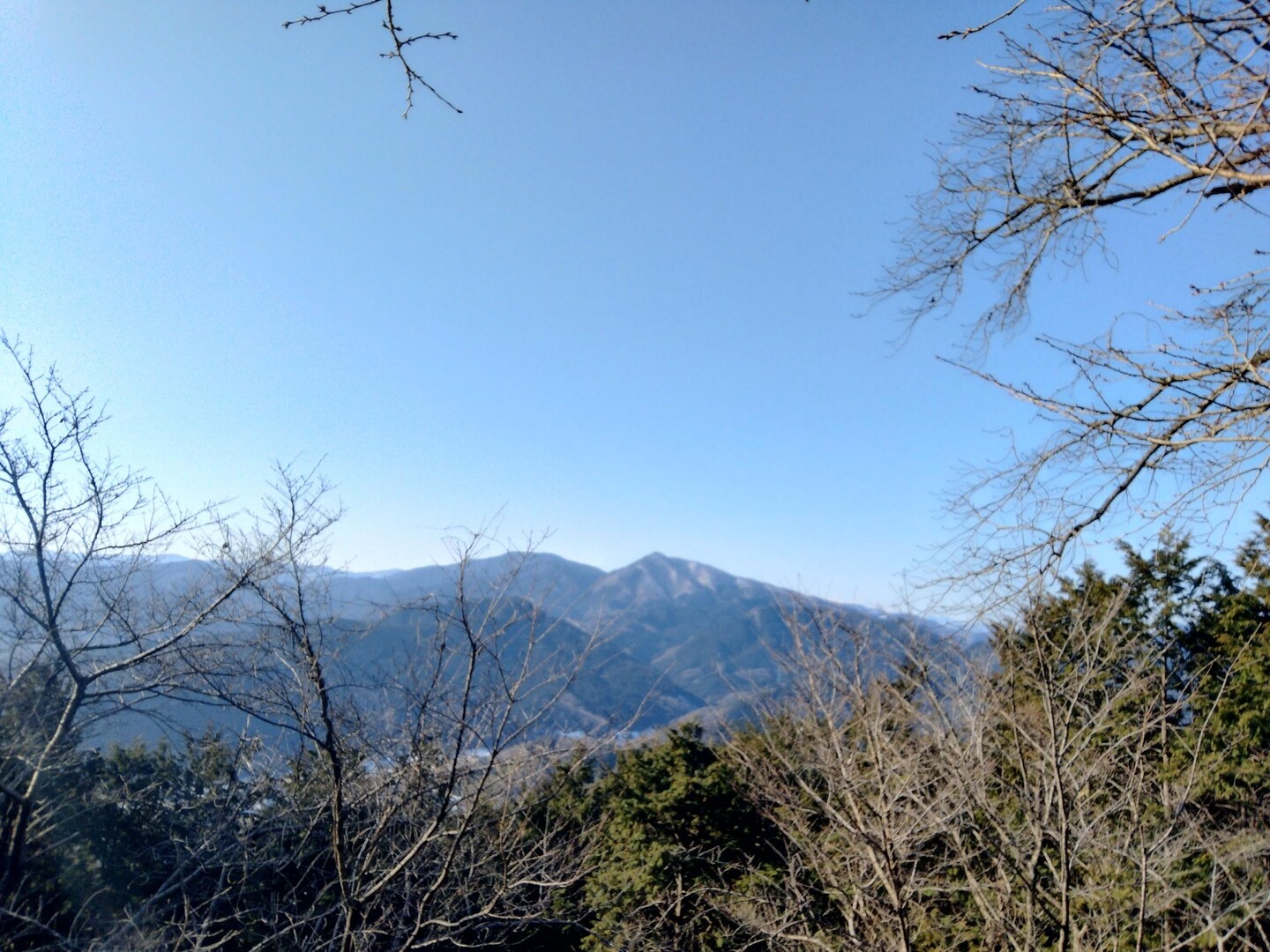 石尊山・官ノ倉山・不動沢の頭・烏森山（虚空蔵山）・天ノ峰・浅間山・西金勝山・ゴリラ山・桜の峰・... / ETRO さんの官ノ倉山の活動データ ...