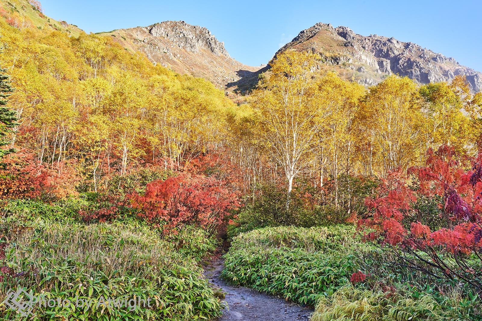 昨日まで北アルプスの標高2600mエリア... / アトさんのモーメント YAMAP / ヤマップ