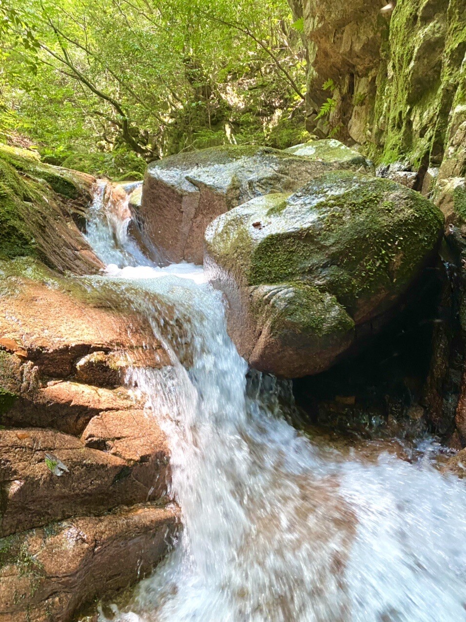 岩籠山 沢登り ヨシエさんの岩籠山の活動日記 Yamap ヤマップ