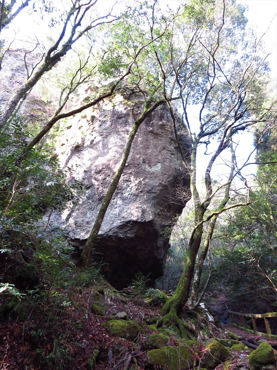 深倉峡から岳滅鬼山周回 うらさんの釈迦ヶ岳 福岡県 大日ヶ岳 岳滅鬼山の活動日記 Yamap ヤマップ