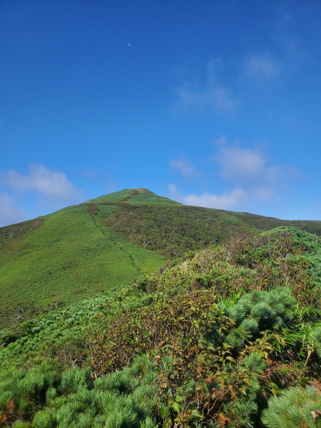 礼文岳の最新登山情報 / 人気の登山ルート、写真、天気など | YAMAP / ヤマップ