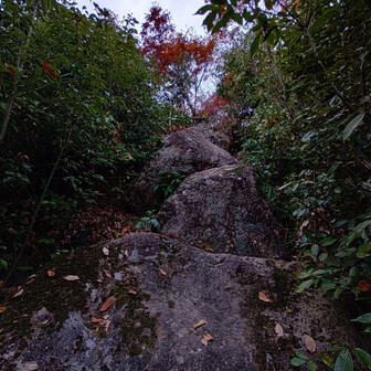 振り返って
岩岩の下りです