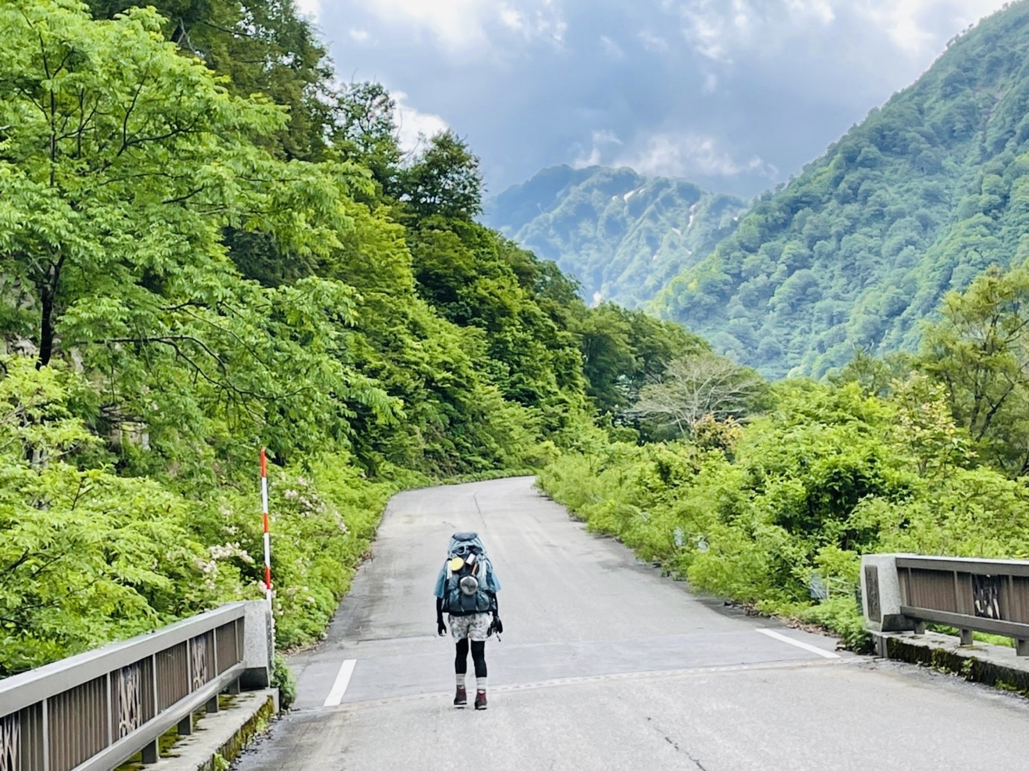（…フォロワーが減る…わざとじゃないモン…