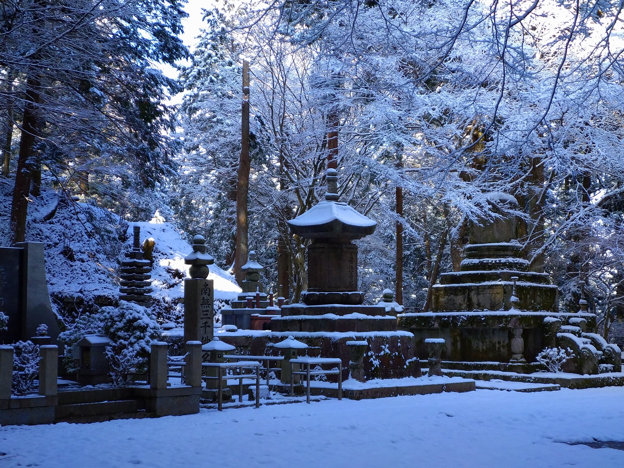 初登り は雪の比叡山 01 05 Shinko山々さんの比叡山 横高山 梶山の活動データ Yamap ヤマップ