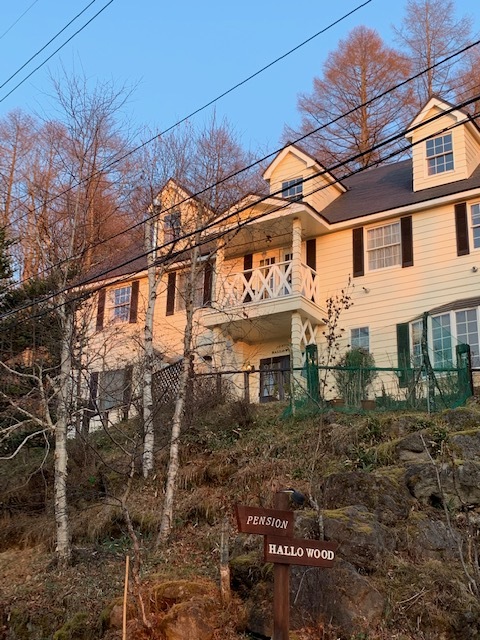 縞枯山 北横岳 大岳 蓼科山ゲッツ やなさんの蓼科山 横岳 縞枯山の活動データ Yamap ヤマップ