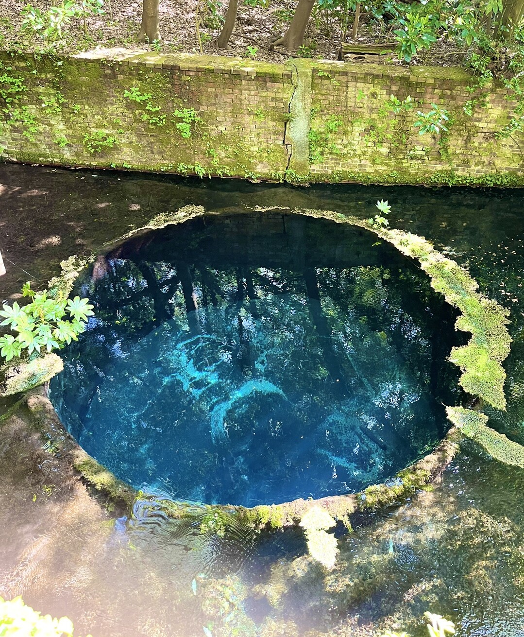 自然の神秘 ブルーホール ｷｬｰ ゆう さんのモーメント Yamap ヤマップ