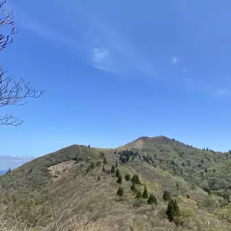 ワサビ峠から望む武奈ヶ岳