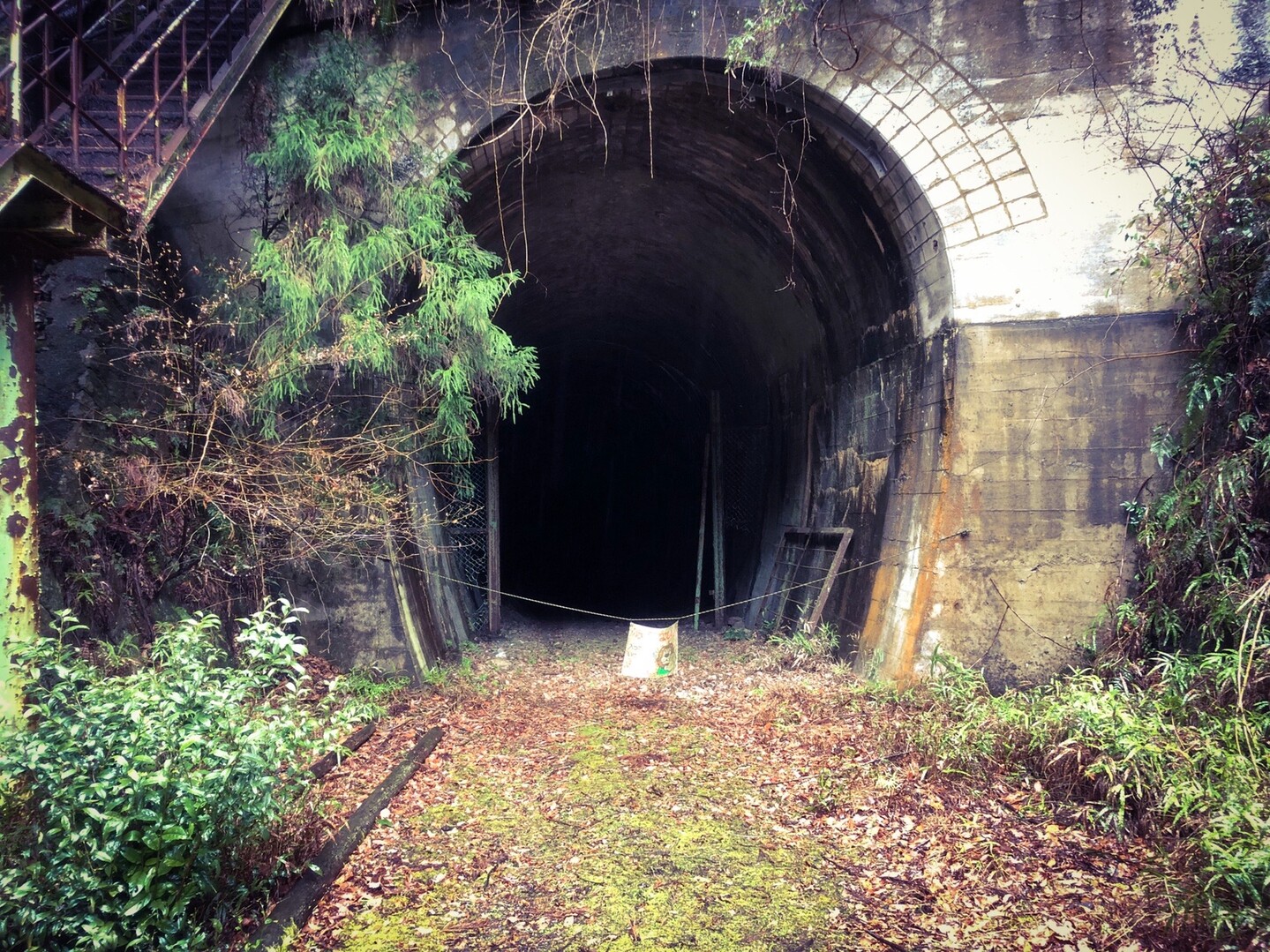 青山高原 レインハイク 03 08 青山高原の写真28枚目 旧青山トンネル 廃トンネルです Yamap ヤマップ