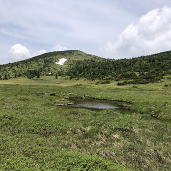 風が心地よい。
低層湿原の様相を見せる酸ヶ平（すがだいら）