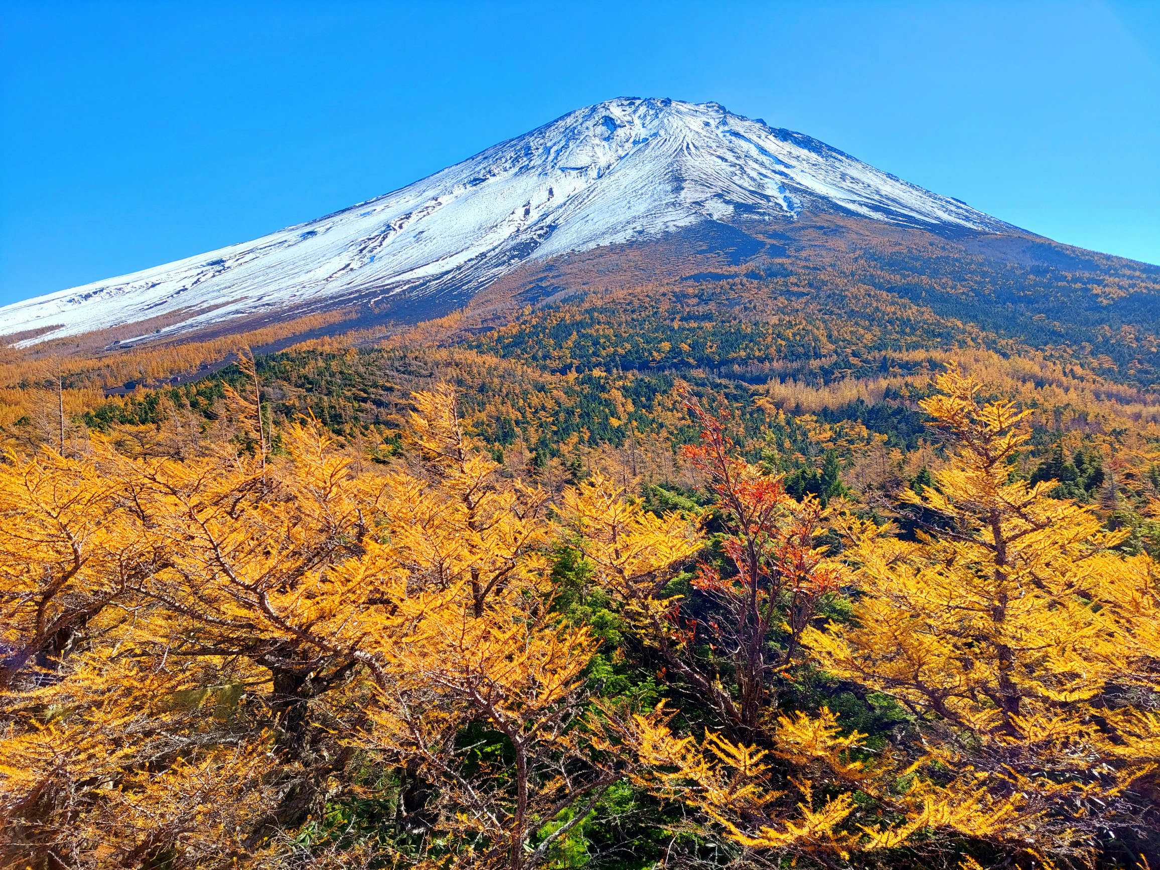 美しき三段紅葉 富士山 21 10 30 山大好きさんの富士山の活動データ Yamap ヤマップ