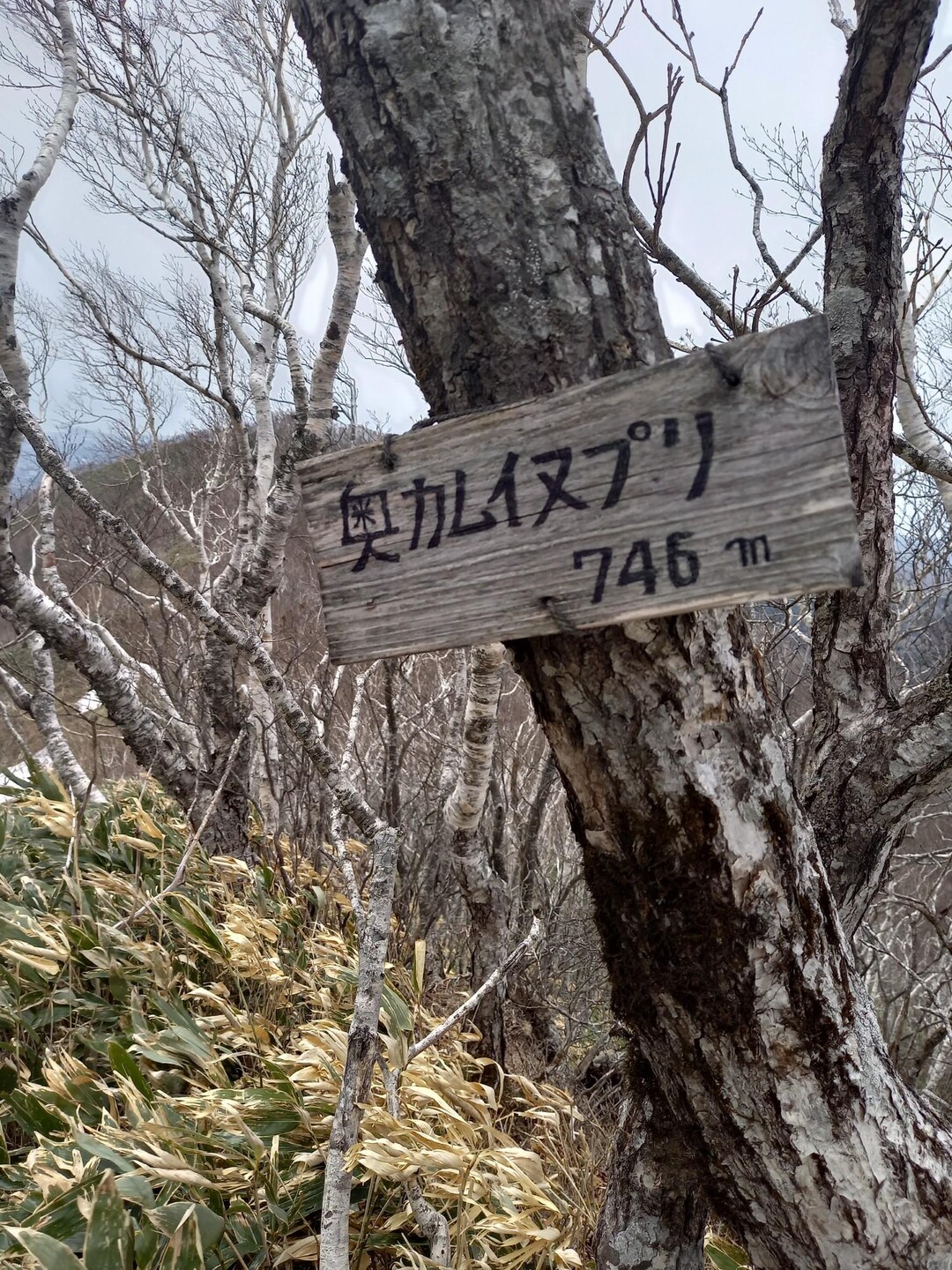 カムイヌプリ・奥カムイヌプリ / シグナルさんの鷲別岳（室蘭岳）・カムイヌプリの活動データ YAMAP / ヤマップ